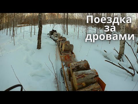 Видео: За дровами#на снегоходе.