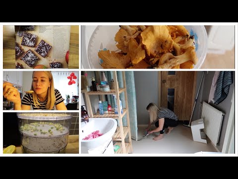 Видео: МОТИВАЦИЯ НА УБОРКУ! ПРОРАЩИВАЮ! ЯРМАРКА И ВКУСНЯШКИ ИЗ ИТАЛИИ!