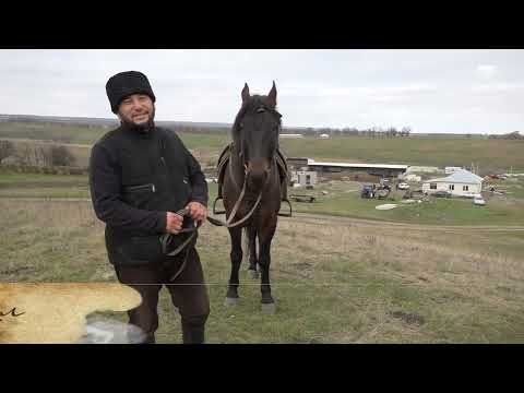 Видео: Мой аул - Икон-Халк (27.11.2022)