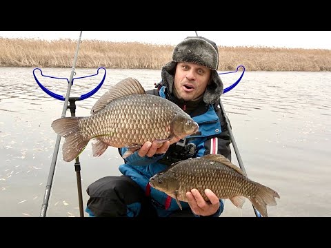 Видео: Рыбалка пушка-петарда! Ловля карася на фидер зимой!