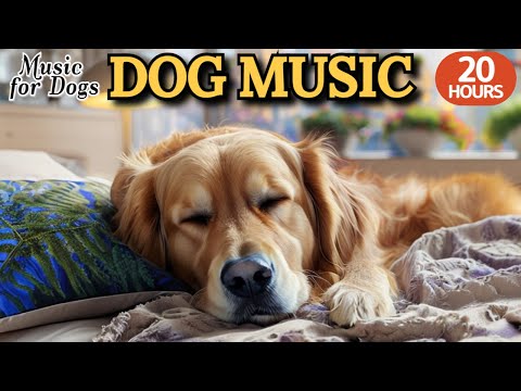 Видео: 24 часа успокаивающей музыки для собак🐶💖Музыка для глубокого и крепкого сна🦮🎵Для щенков и взрослых.