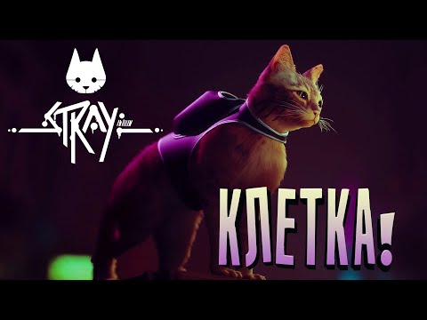 Видео: КЛЕТКА! - Stray #5