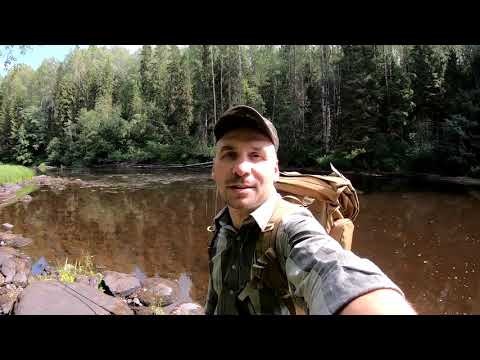 Видео: Рыбалка на спиннинг | Ловля хариуса на реке Шола