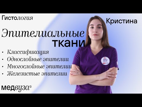 Видео: Эпителиальные ткани | Общая гистология | Медвуза