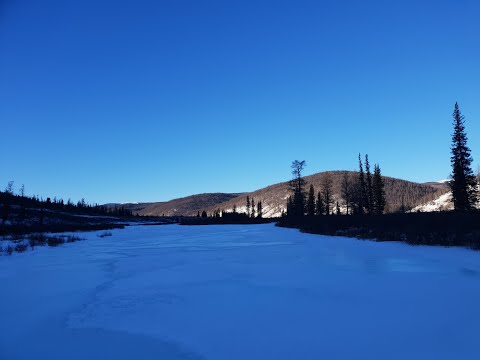 Видео: Трофейная Охота. Изюбрь на Реву. Забайкальский край .