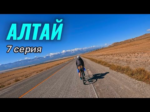 Видео: 700 км по Золотому Кольцу Алтая. Bikepacking Gravel Trip