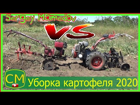 Видео: ➤УБОРКА КАРТОФЕЛЯ 2020. ДЕВОЧКИ ПОДРАЛИСЬ.