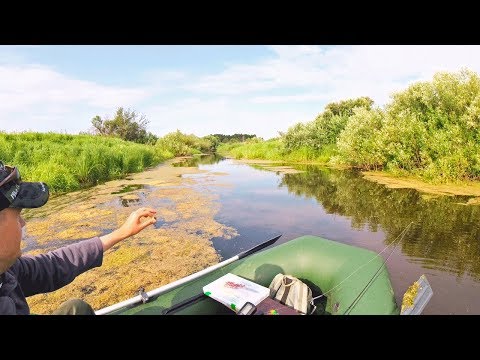 Видео: В ЭТОЙ РЕЧКЕ РЫБЫ МНОГО! Ловля щуки в траве на спиннинг. Поклёвки на глазах!