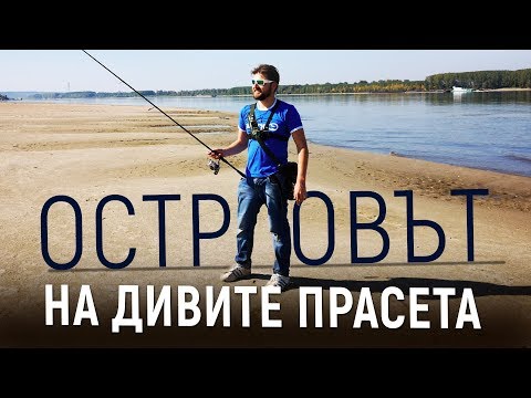 Видео: Островът на ДИВИТЕ прасета! Риболов на щука  река Дунав част 1 ЛОВ И РИБОЛОВ