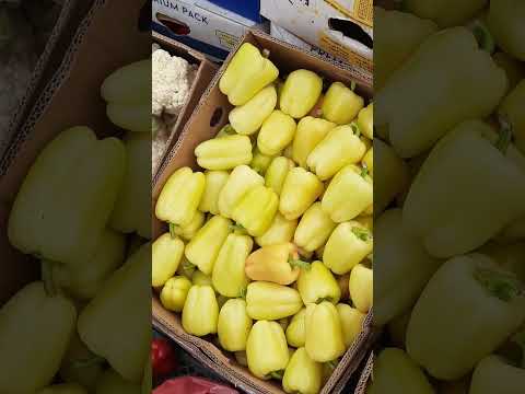 Видео: 16,09 ОГЛЯД ОПТОВИХ ЦІН #грядказакарпаття  #оптом #життя #базар #tomato #виноградів #овочі #оглядцін