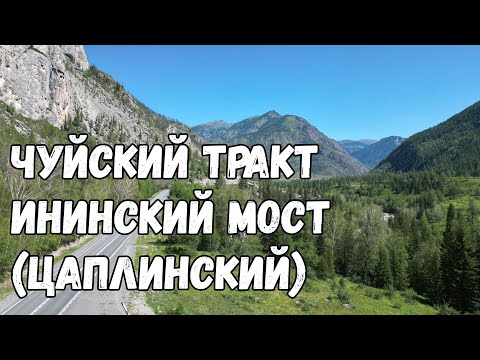 Видео: Горный Алтай. Чуйский тракт. Ининский Мост (Цаплинский). Видео с дрона.