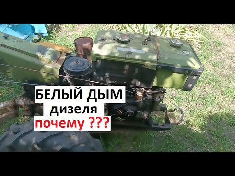 Видео: #Мотоблок. Белый дым у #дизеля #мотоблока  Причины и куда смотреть.