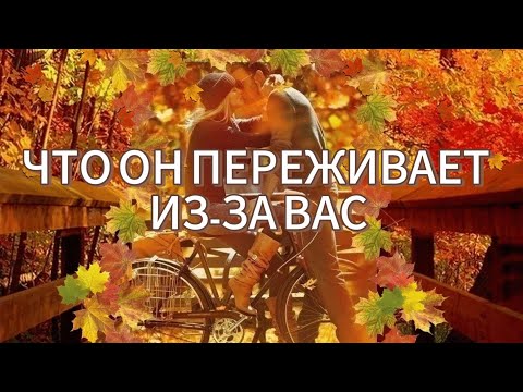 Видео: ЧТО ОН ПРОЖИВАЕТ И ПЕРЕЖИВАЕТ ИЗ-ЗА ВАС