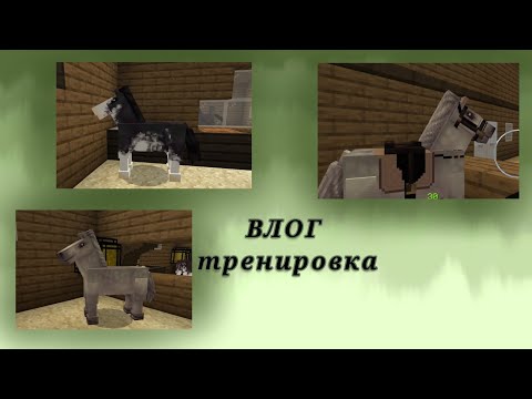 Видео: •°Будни админа конной академии 💞•°