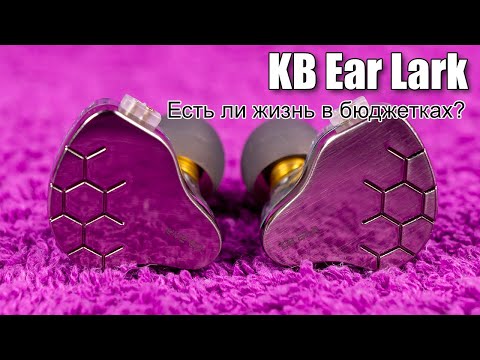 Видео: Обзор гибридных наушников KB Ear Lark