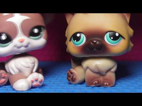 Видео: LPS: 10 НЕЛЮБИМЫХ littlest pet shops