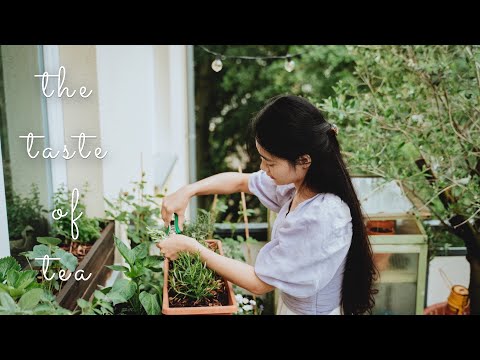 Видео: #47 Рецепты домашнего травяного чая для лучшего сна