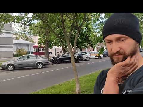 Видео: Такие разные каштаны