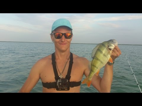 Видео: Рыбалка на оз. Чаны 08.07.2016