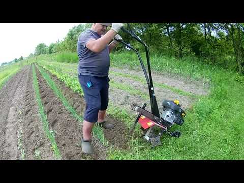 Видео: І знову робота культиватором Кентавр 30 1Т