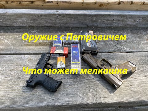 Видео: Что может мелкашка.