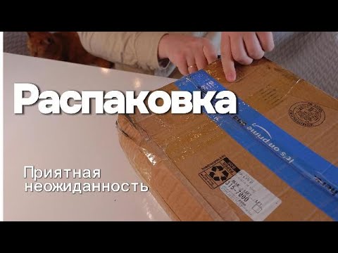 Видео: Распаковка с неожиданным концом