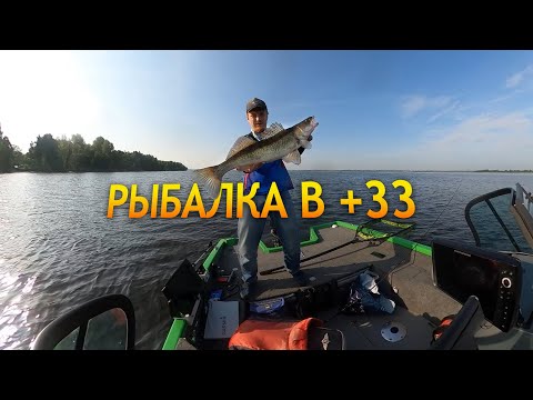 Видео: Рыбалка в + 33. Чебоксарское водохранилище и не только