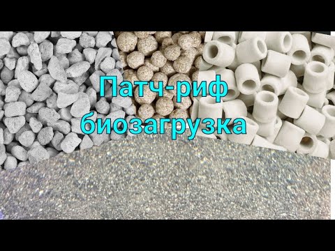 Видео: Запуск патч-рифа. Система биофильтрации.