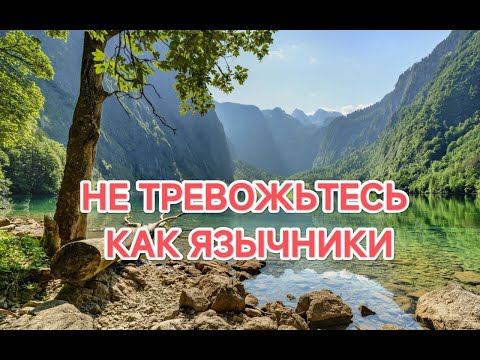 Видео: 13 09 2025   ОЗАБОЧЕННЫЕ ЯЗЫЧНИКИ ЧТО ЕСТЬ, ВО ЧТО ОДЕТЬСЯ
