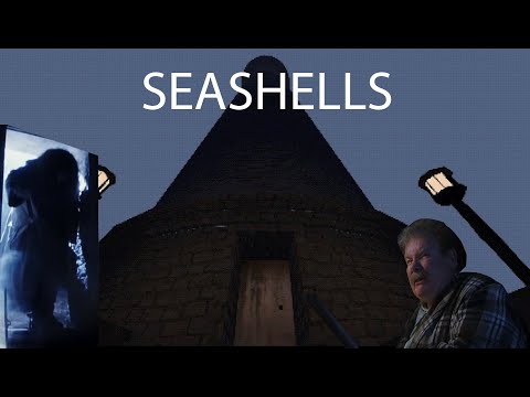 Видео: ⯅ Гарри тащи ружье! (Seashells) - Перезалив