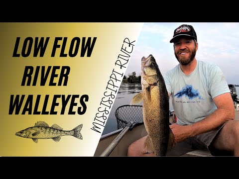 Видео: Судаки с низким течением | Ключевые русловые структуры реки Миссисипи для летнего судака