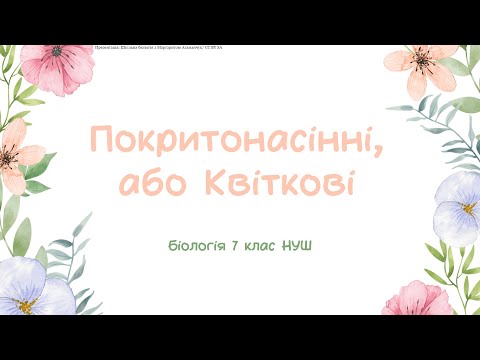 Видео: Біологія 7 клас НУШ  Покритонасінні, або Квіткові  Квітка  Суцвіття