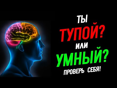 Видео: Тест: Насколько Ты Умный? Проверь Себя! @HomelandChannel