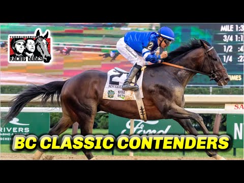 Видео: Претенденты на классический кубок заводчиков: суверенитет, журналистика и Баэса