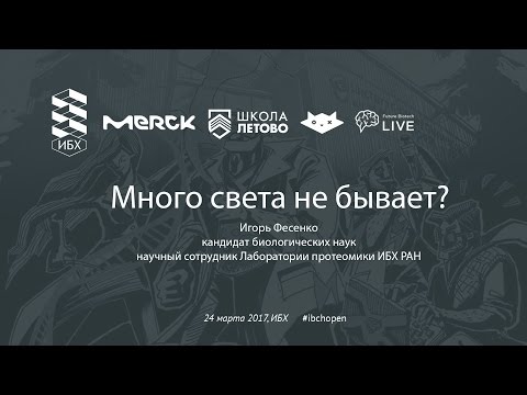 Видео: Много света не бывает?