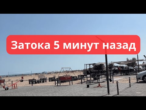 Видео: Что скрывает Лиманская? Прогулка по первой линии! Затока цены