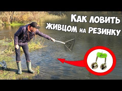 Видео: РЫБАЛКА на ЖИВЦА с РЕЗИНКОЙ или КАК СОБРАТЬ РЕЗИНКУ для ЛОВЛИ ХИЩНИКА