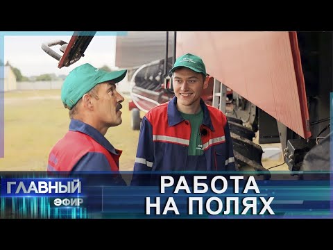 Видео: Труд механизаторов на уборочной:  работа на полях и вклад в сельское хозяйство. Главный эфир