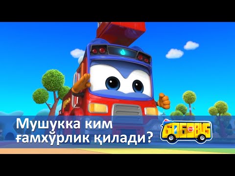 Видео: Қувноқ автобус - Серия 17. Мушукка  ким ғамхўрлик қилади? - Онгни ўстирадиган мультфильмлар