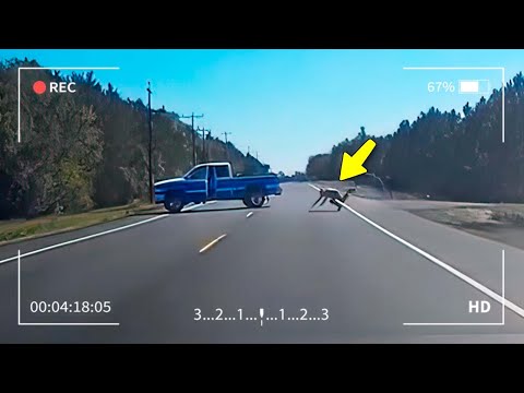 Видео: Невероятные Случаи на Дорогах, Снятые на Камеру