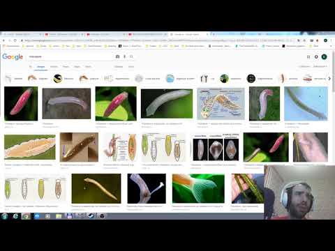 Видео: Мои рассуждения #24  Вот как так а?