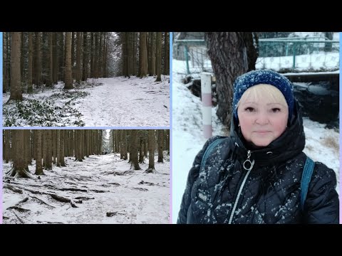 Видео: Vlog 90: Сходница. День 15. Сходили на источники в последний раз...и домой.