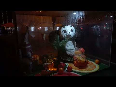 Видео: АБХАЗИЯ Сухум Черное море - встречаем новый год