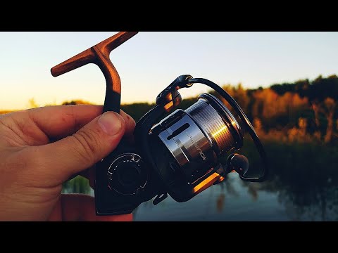 Видео: Катушка для спиннинга Cadence Essence. НОВИНКА 2024! Обзор от канала Stormy Fishing