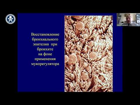 Видео: Современная мукоактивная терапия у детей. Мизерницкий Ю. Л.
