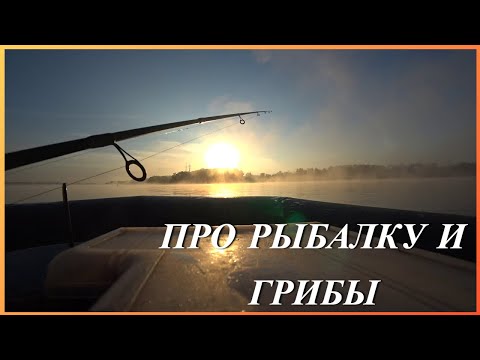 Видео: Расскажу вам о рыбалке