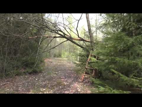 Видео: Бердовка. 142 РП. Боевая позиция 2- дивизиона 142-го РП РВСН. Часть 4