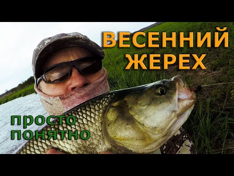 Видео: Весенний жерех. Поиск ельца. Мушка March Brown.