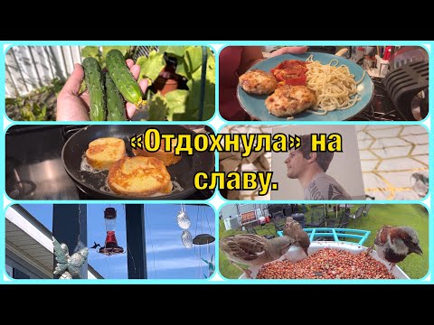 Видео: VLOG #15. В этот раз не с кофе. Пашу на максималке. Урожайный год. Бассейн теперь в кайф. 