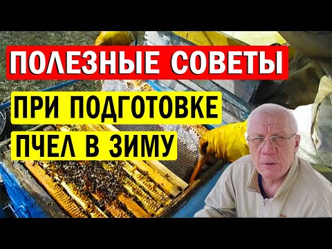 Видео: Как Правильно подготовить пчел в зиму? Советы начинающим!